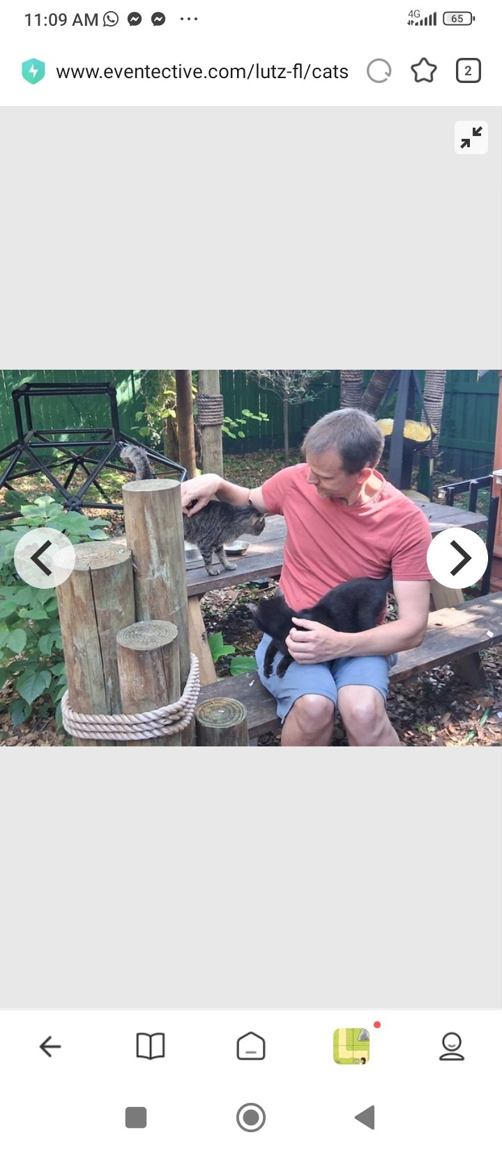 Screenshot 2025 08 12 11 09 36 529 com.mi .globalbrowser